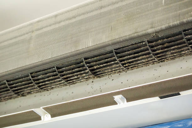 Best Affordable HVAC Duct Cleaning  in Woodbridge, CA